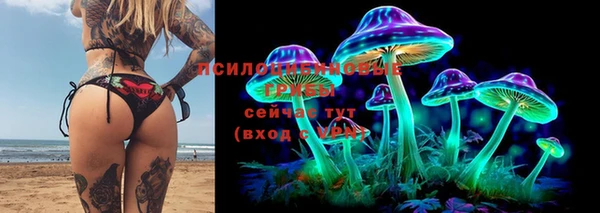 гидропоника Пестово