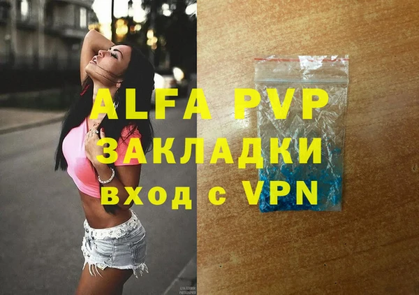 индика Пересвет