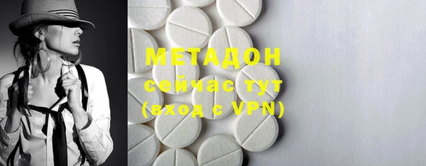 индика Пересвет