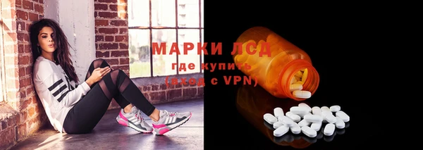 индика Пересвет