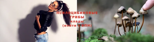 гашик Покров