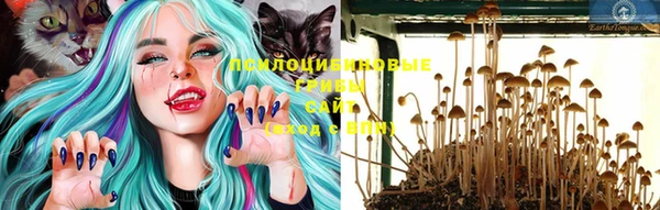 гашик Покров