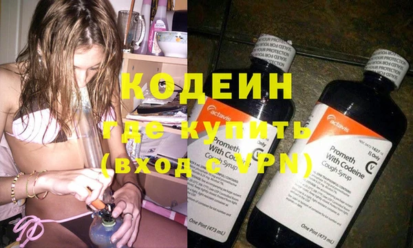 индика Пересвет