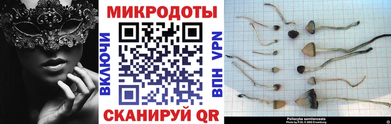 darknet официальный сайт  Инта  Галлюциногенные грибы Cubensis  где продают наркотики 